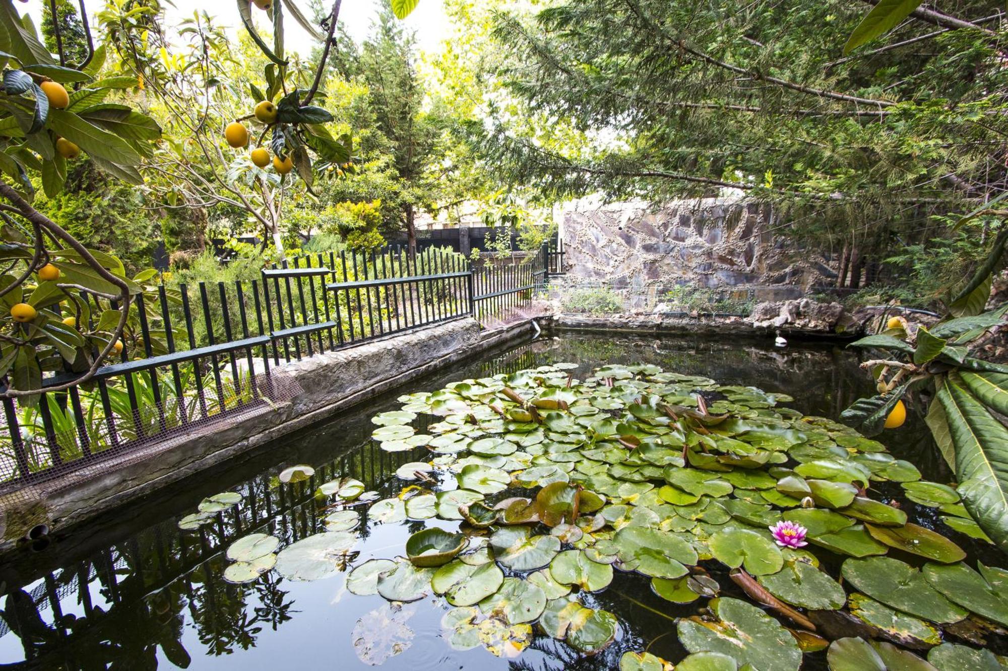Nature, Pool, Tennis, Aircon Only 15 Minutes To Barcelona! Sabadell Exterior photo